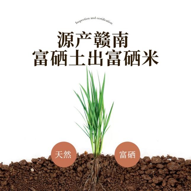 天华富硒米火了，是金星都拒绝不了的一碗好饭