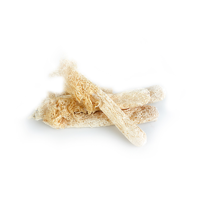 Bamboo fungus