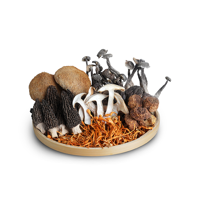 mushroom soup packet