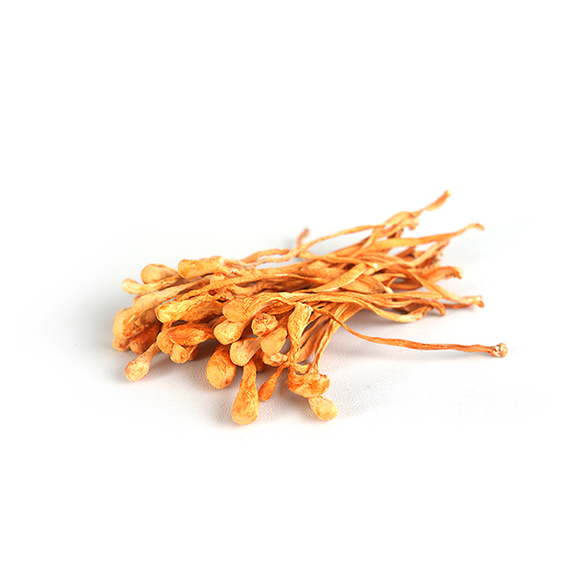 Dried cordyceps flower