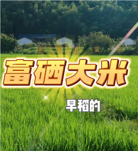 江西信丰：富硒产业带来增收新“硒”望
