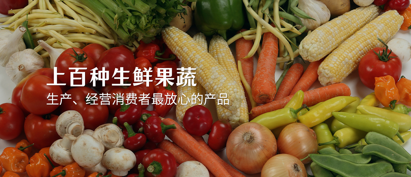 首页轮播图2