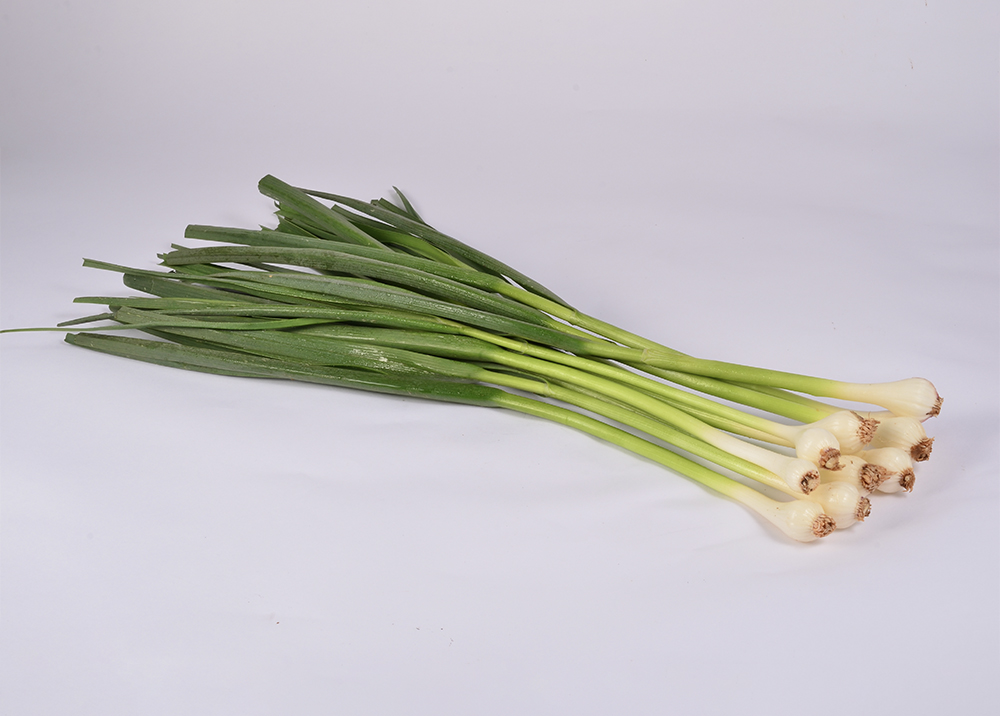 Garlic stem