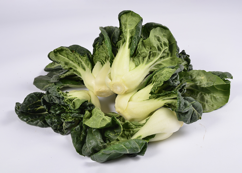 Little milk cabbage