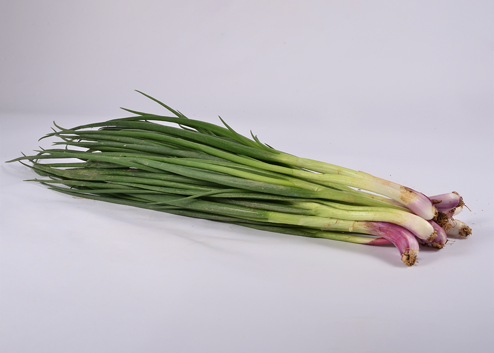 Scallion