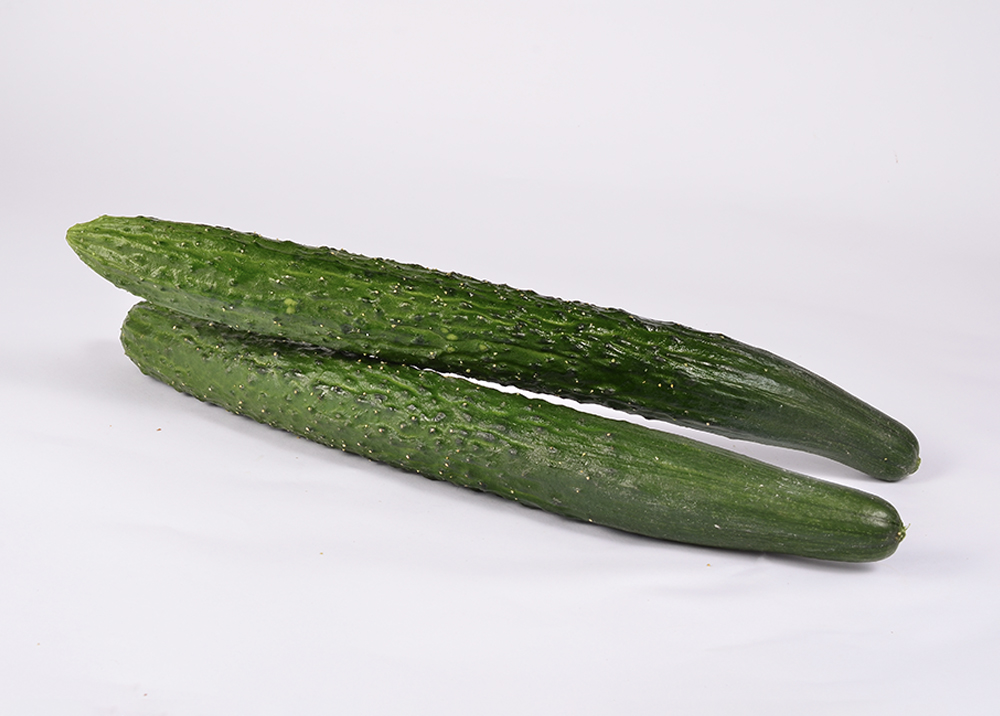 Cucumber