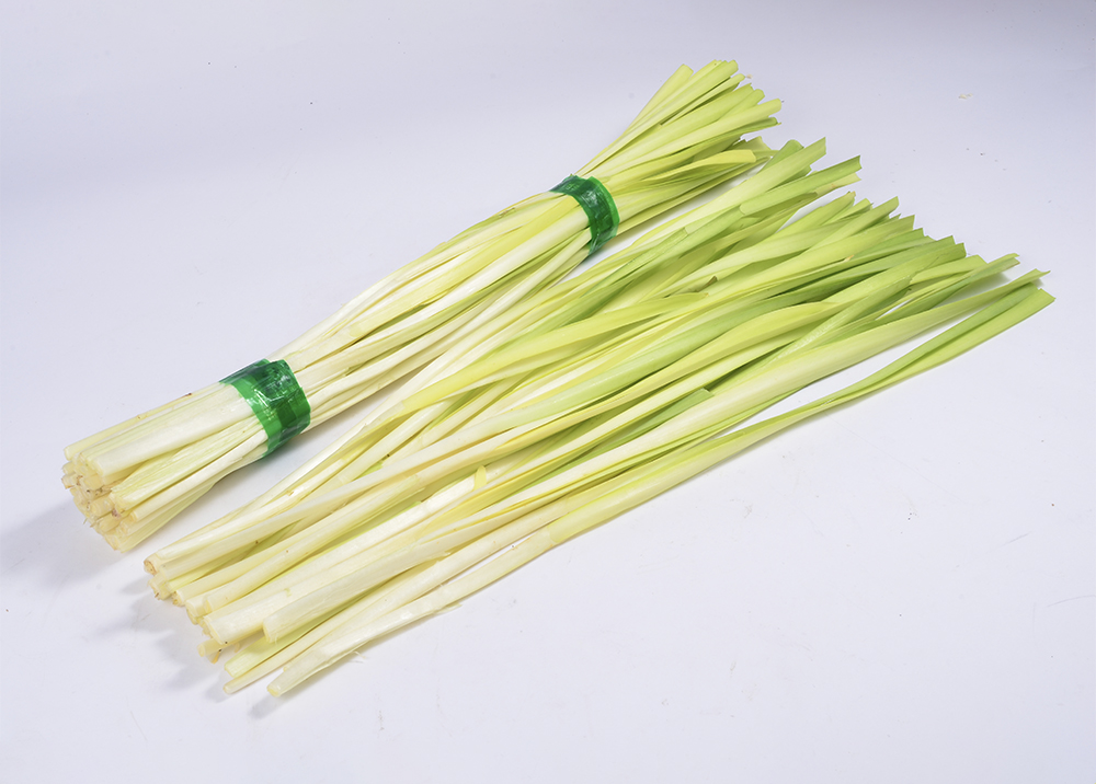 Hotbed chives