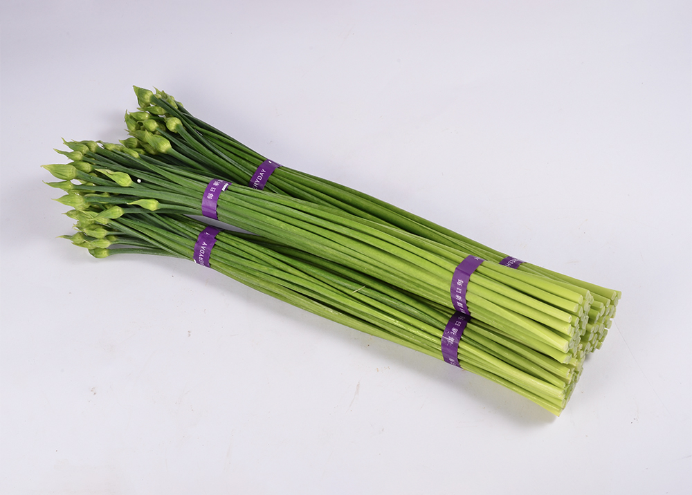Leek flower