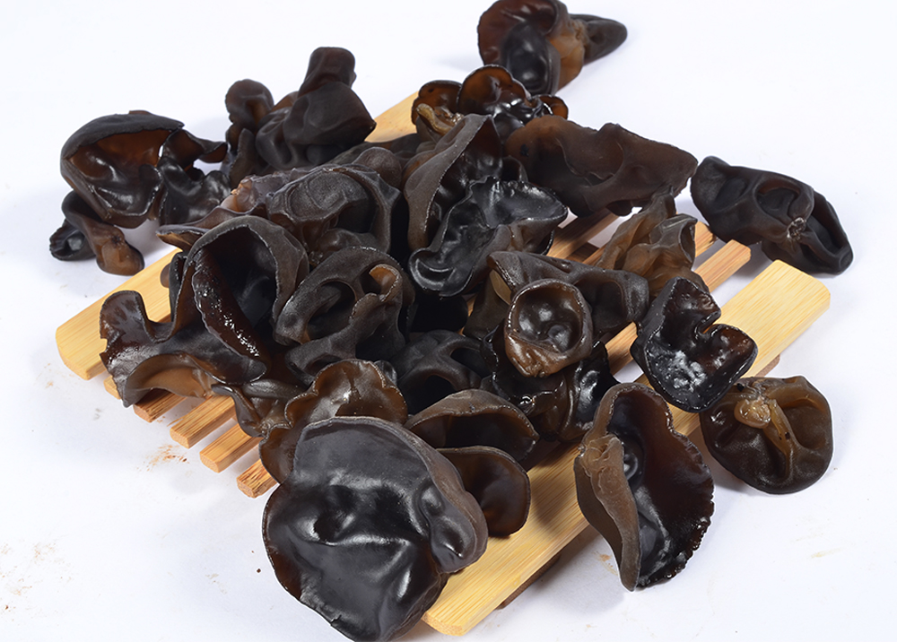 Black agaric