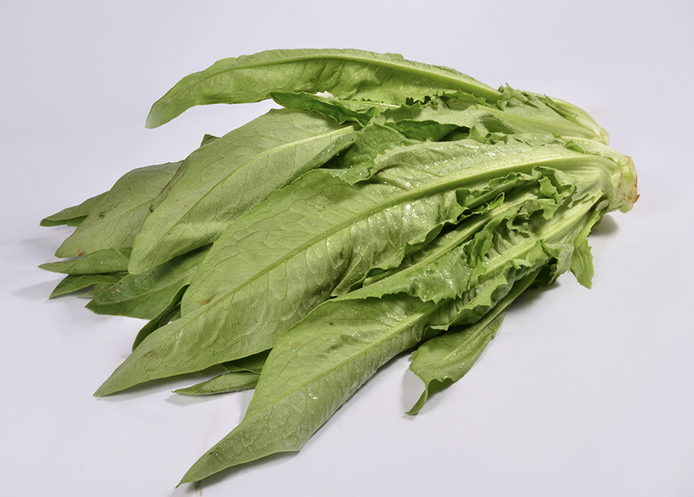 Leaf lettuce