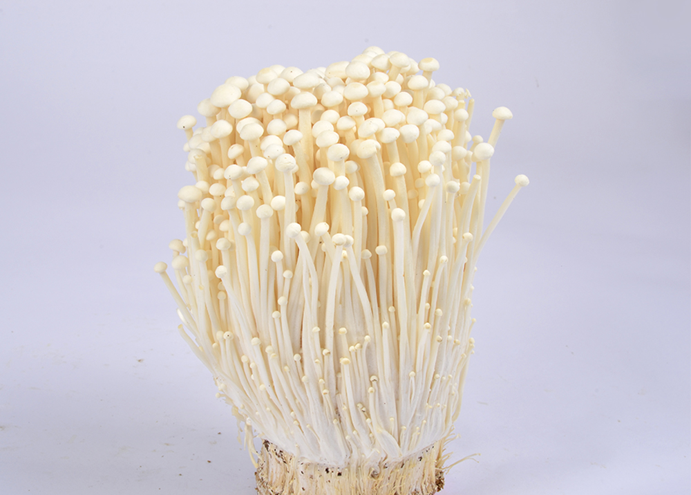 Enoki mushroom